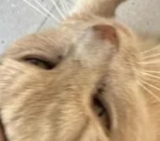 Attached image